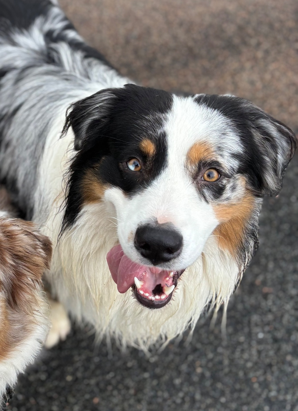 Unbearable lightness (joshua) De La Perle Du Morvan